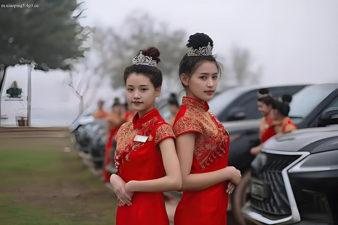 会员等级说明更新